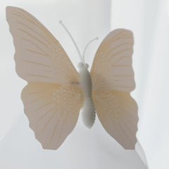 Butterfly Voile Curtain Blind With Matching Piping (White)